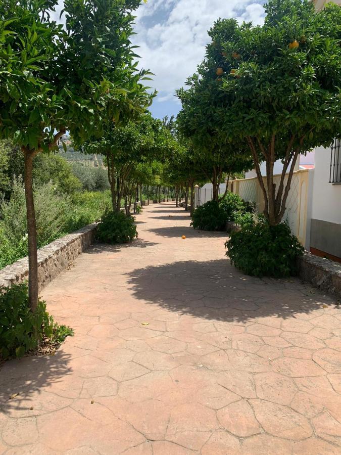 Apartamento En Cuevas Del Becerro Buitenkant foto